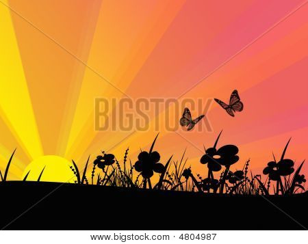 Butterflys i kwiaty na zachodzie słońca