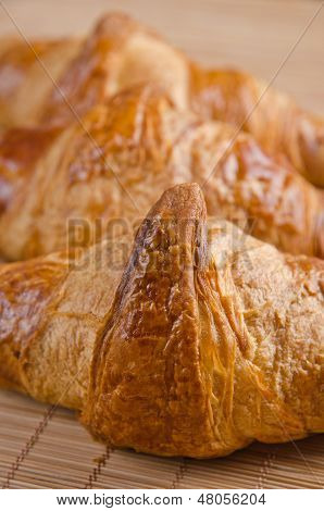 Freshly Baked Croissants