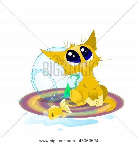 Kitten