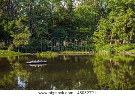 在中心的哈利法克斯的公共花园，哈利法克斯，新斯科舍省，加拿大的宁静池塘。