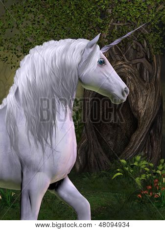 Unicorn hest