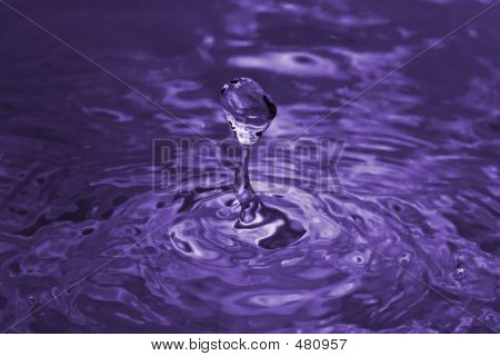 Lila Drop