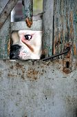 erfassten Hund