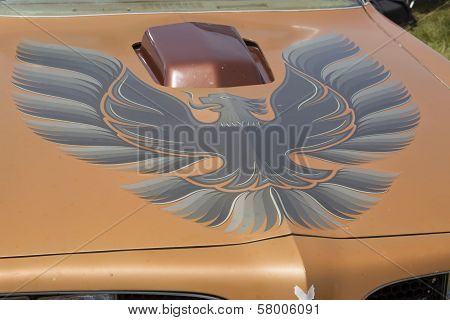 Pontiac Trans Am Copper Firebird Hood