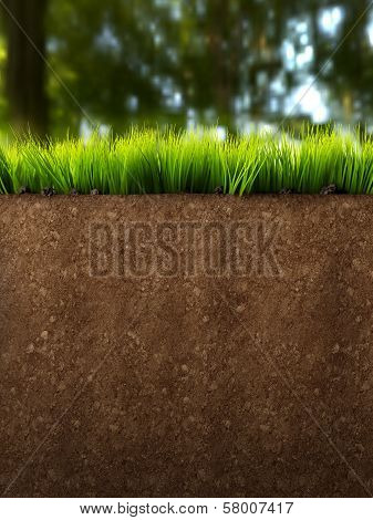 Ground Section