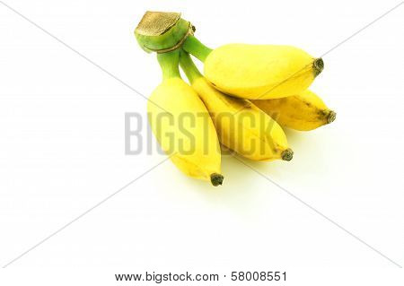 Cultivated Banana