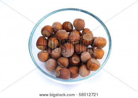 Hazelnuts in the shell