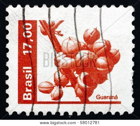Postage Stamp Brazil 1982 Guarana, Fruit