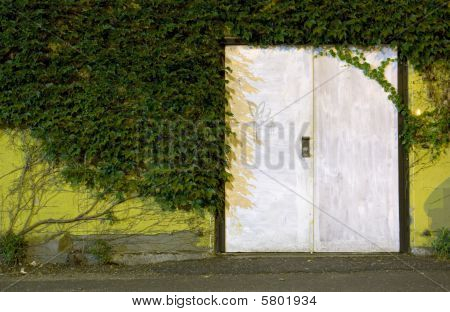 Porta pintada branca na parede coberta de hera