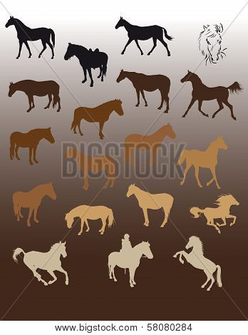 Horses