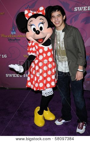 David Archuleta  at the Sweet 16 Celebration for Miley Cyrus. Disenyland, Anaheim, CA. 10-05-08