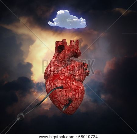 Heart flies toward heavens but still hooked to the earth