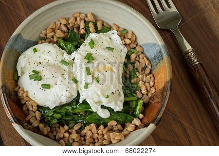 Poached Eggs