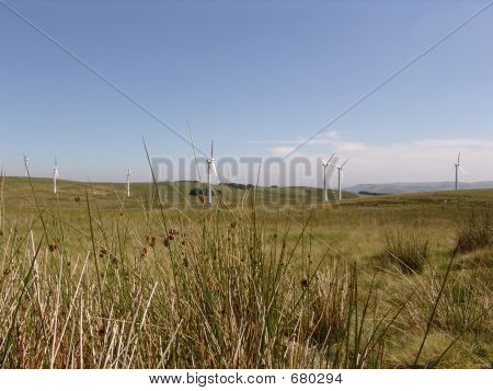 Landschaft