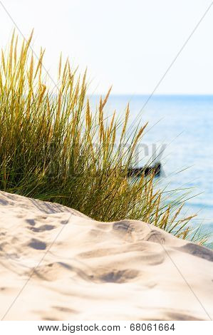 Idyllic Beach Scene