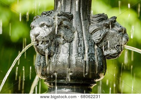 Water From Lions Mouth