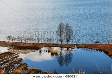 L'albero di coppia accanto al lago LuGu
