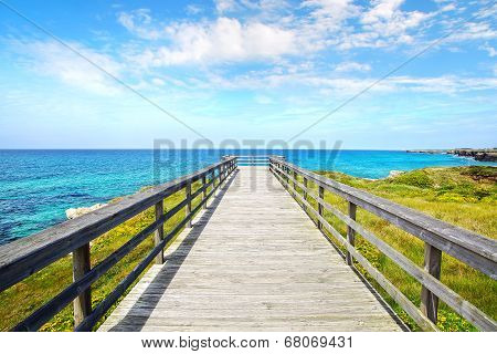 Picturesque landscape with bridge. Spain
