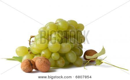 Grape isolerad på vit bakgrund