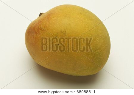 Alphonso mango from Maharashtra India.
