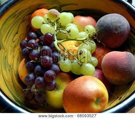 Bowl of Fruit