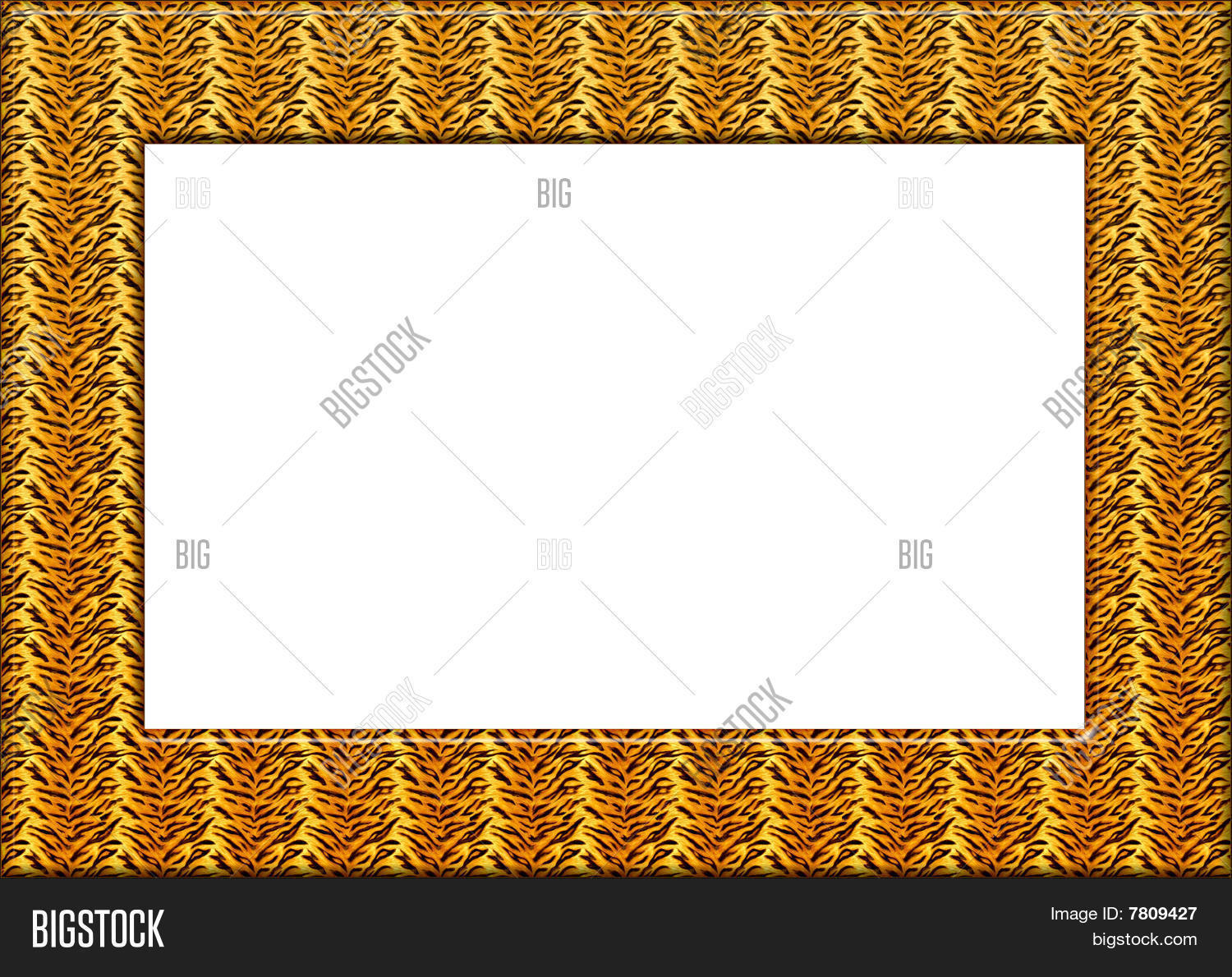 Tiger Print Border Image & Photo Bigstock