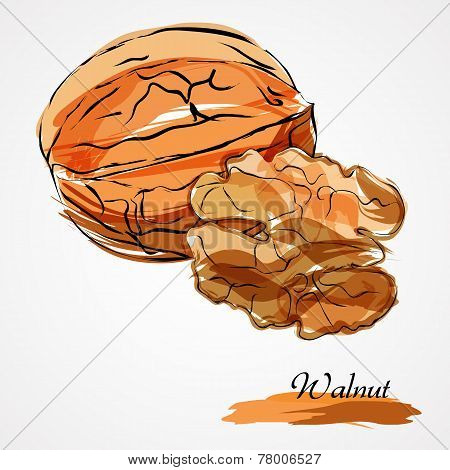 Walnut