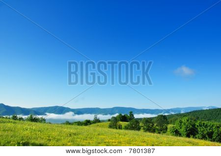 Ciel de matin bleu d'été