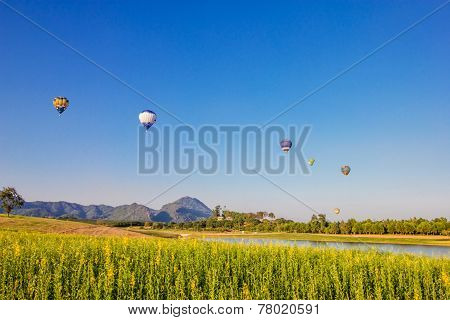 Hot Air Balloon Over Yellow Flower