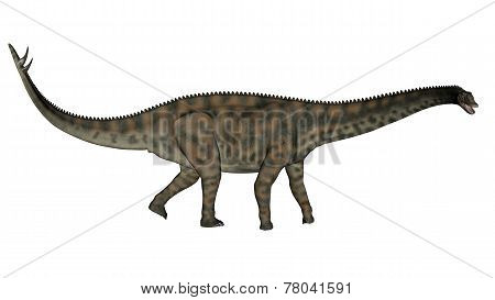 Spinophorosaurus dinosaur walking - 3D render