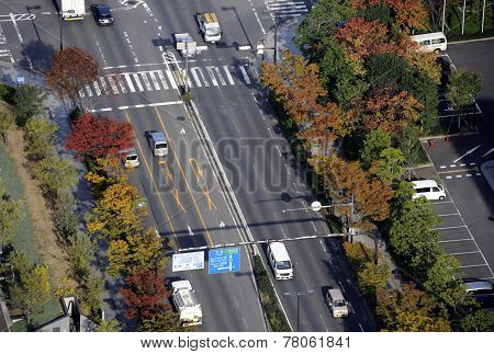 Birdview Of Street
