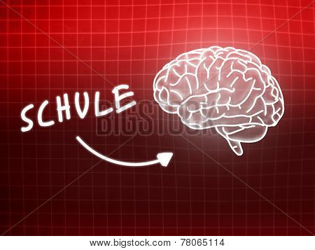 Schule Brain Background Knowledge Science Blackboard Red