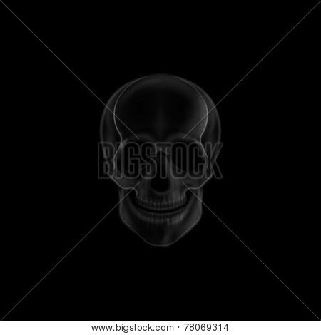 vector illustration of a human  skull x-ray print. medical concept
