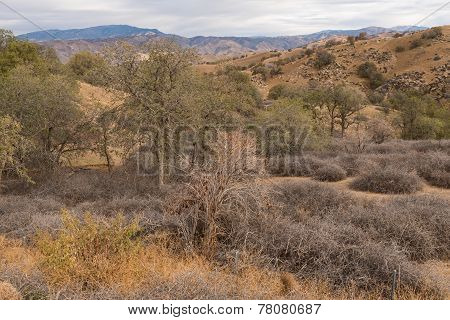 Hills