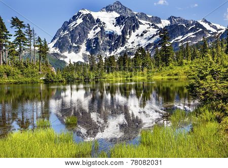 Picture Lake Evergreens Mount Shuksan Washington Usa