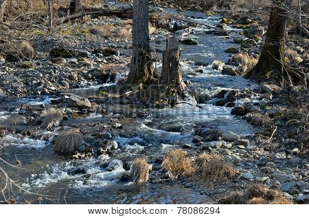Woodsy Mountain River