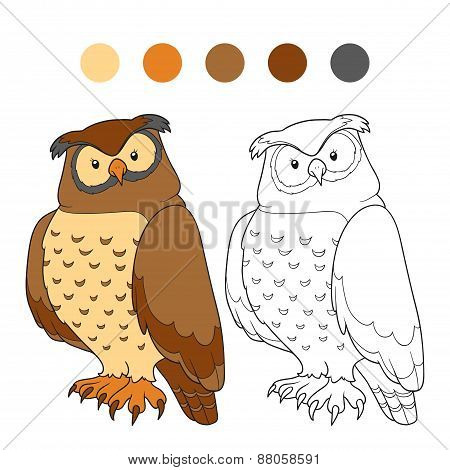 Coloring Book (owl)