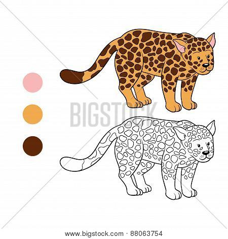 Coloring Book (jaguar)