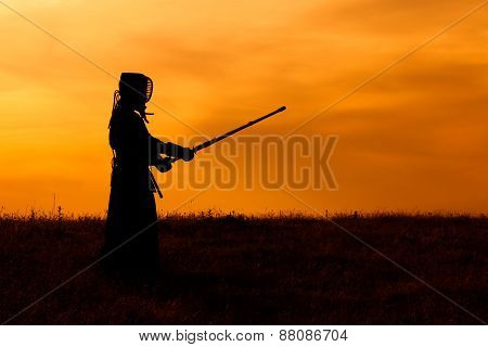 Kendo fighter