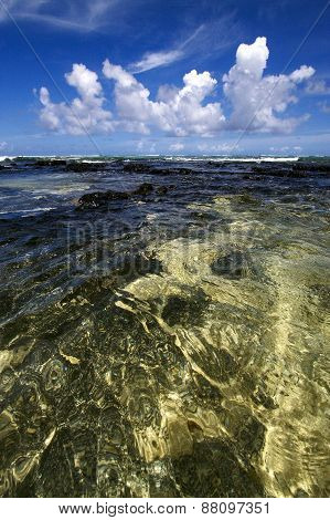Stone In Ile Du Cerfs Mauritius