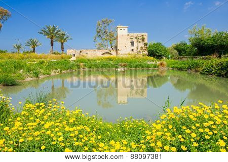 Flour Mill, En Afek