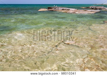 Caspian Sea In The Summer.