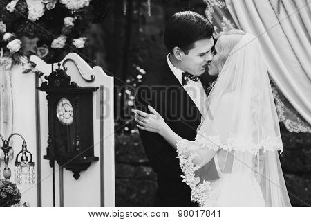 Wonderful Stylish Rich Happy Bride And Groom Higing Kissing At A Wedding Ceremony In  Garden