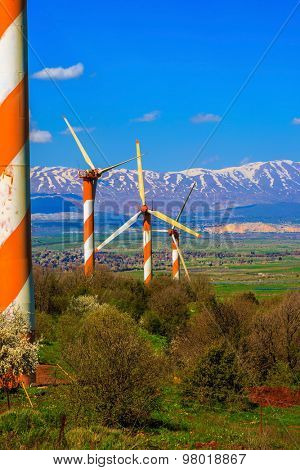 Flowering Golan Heights on a sunny day. Several huge modern windmills. Seen in the distance the snow-covered Hermon. Israel