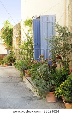 Pot Garden In A Narrow Street, Typical In Southern Europe, Ansouis, Provence, France, Luberon Region
