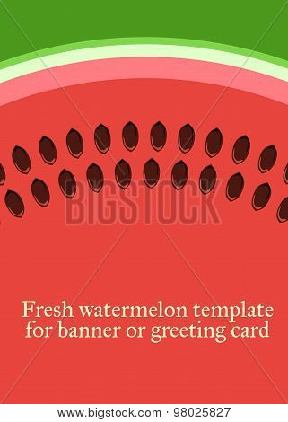 Watermelon. Vector template