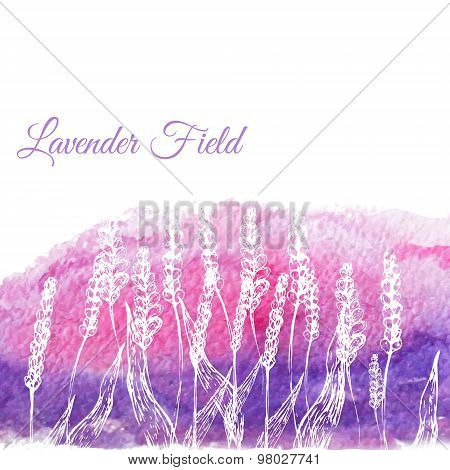 Vector lavender field on watercolor hand drawn background.