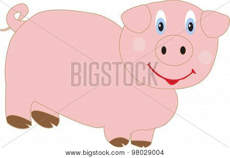 Funny Pig