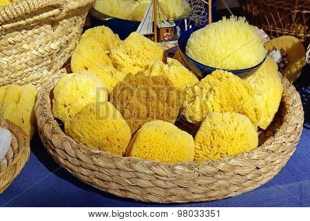 Natural Sea Sponges