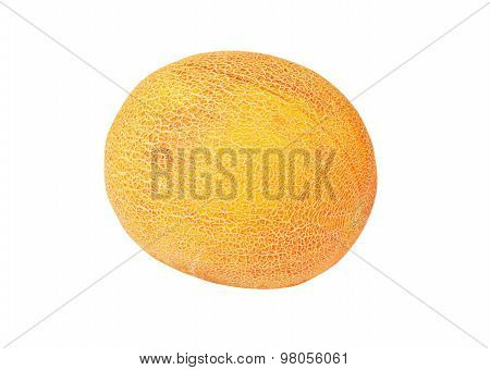 Cantaloup melon